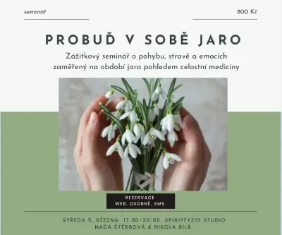 jaro_banner